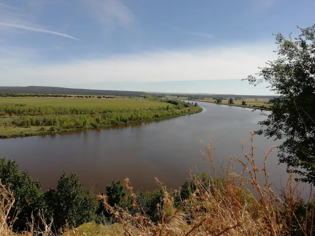 Nature Reserve Banks of Castronuño