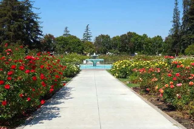 Municipal Rose Garden