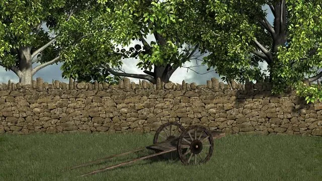 photo-1