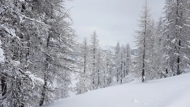 Sci Club Bussoleno Valsusa asd