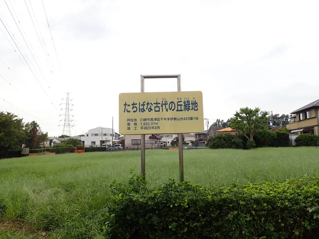 place image