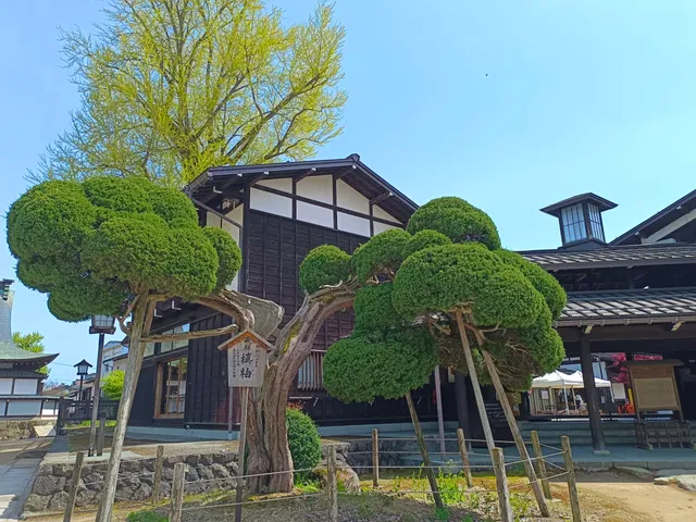 photo-1