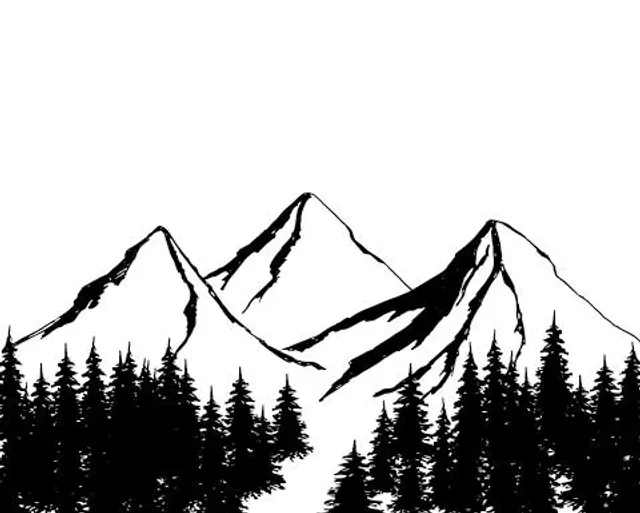 Black Mountain College Museum + Arts Center