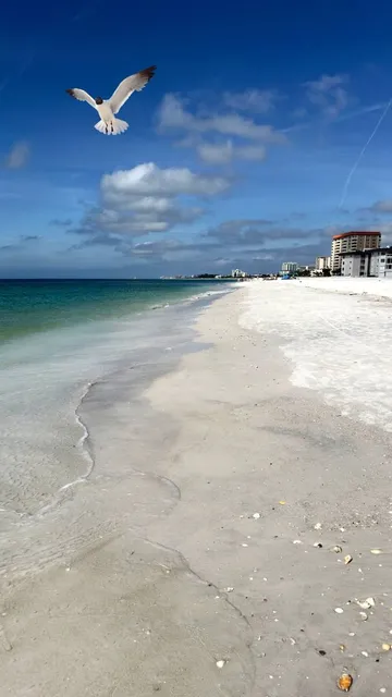 Sarasota Beach