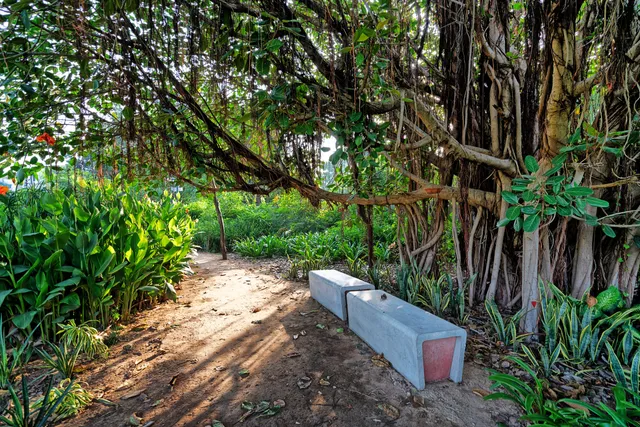 Symphony Forest Park