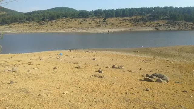 Pond Nature Park Query