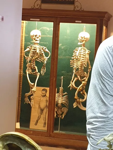 Musée Testut Latarjet des Sciences Médicales