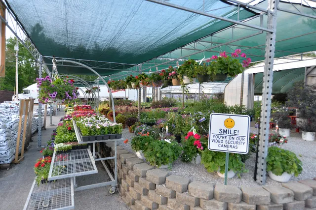 Maple Hill Nursery