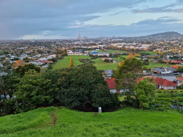 Mt Albert Domain