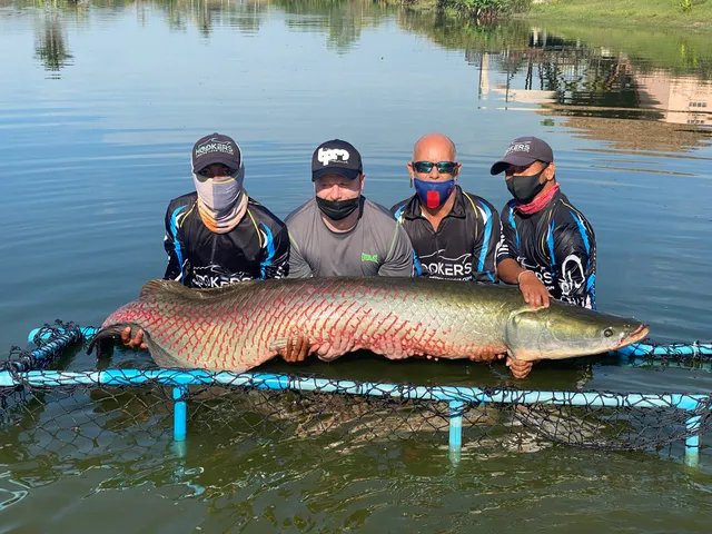 Hookers Fishing Resort Pattaya