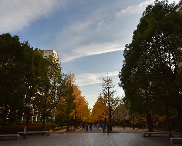 Nerima Ward Natsu-no-Kumo Park