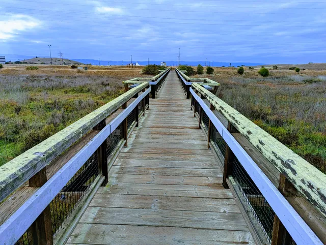 Stevens Creek Shoreline Nature Study Area Preserve