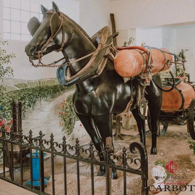 Champagne Famille CARBOT Musée & Dégustation