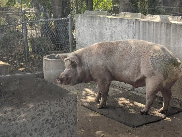 Holtsville Wildlife & Ecology Center