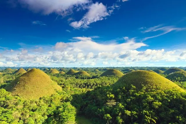 Chocolate Hills