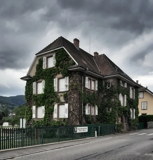 Maison Albert Schweitzer