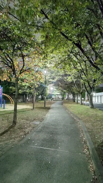 Nagahara Park