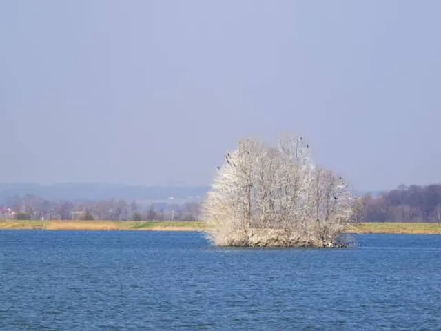 Gajševsko jezero