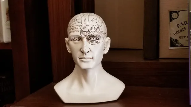 The Paranormal Museum- Paranormal Books & Curiosities