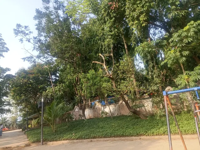 photo-1