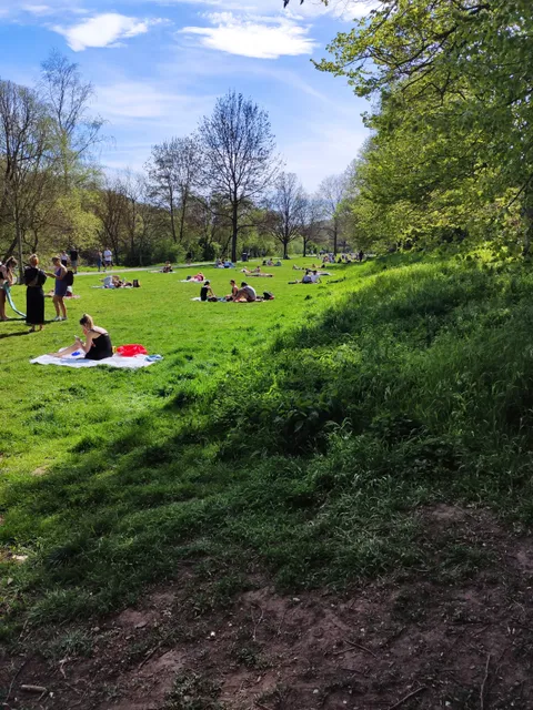 Lahnwiesen in Marburg