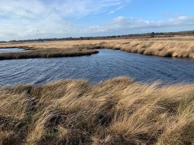 Wandelroute Engbertsdijksvenen Heideroute (4.6 km)