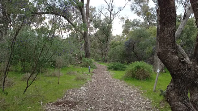 Baldivis Children’s Forest