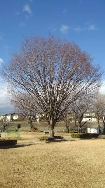 Kuragano Ryokuchi Park