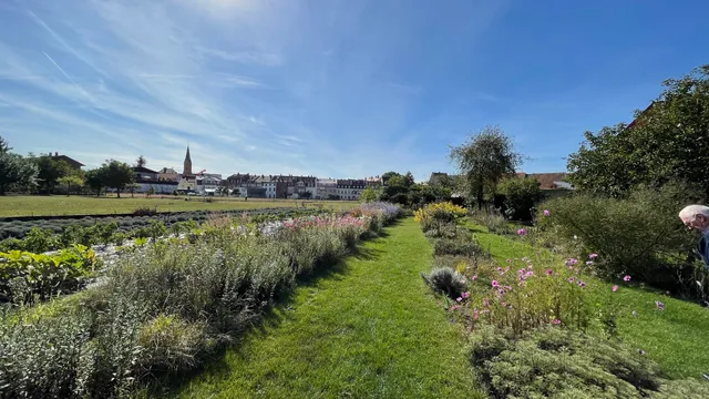 Mussärol Bamberger Kräutergärtnerei