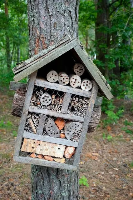 Ekologicheskaya Tropa Belokorets