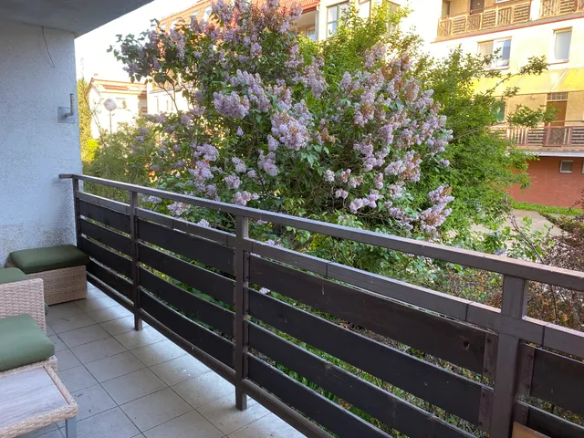 Leśne Apartamenty Hel