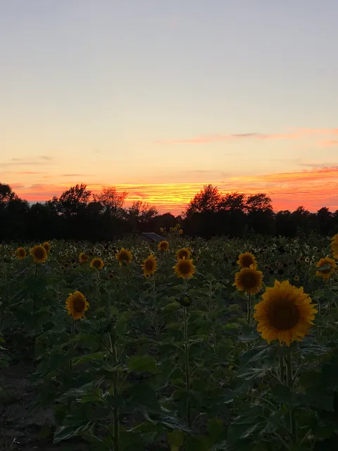 Lakeland Orchard & Cidery
