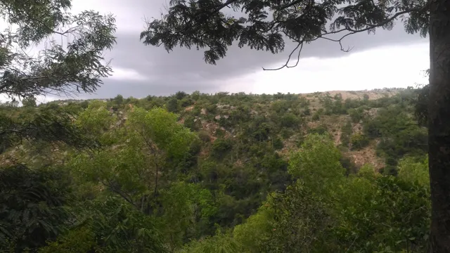 Annapoorneshwari Tiffin Centre