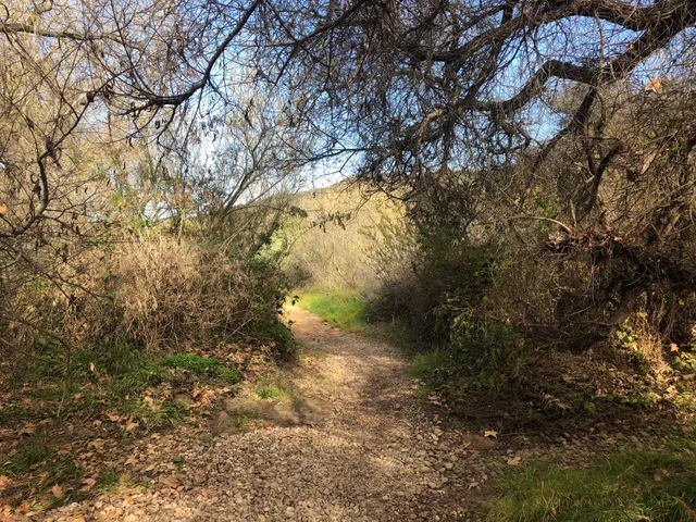 Lopez Canyon Trail