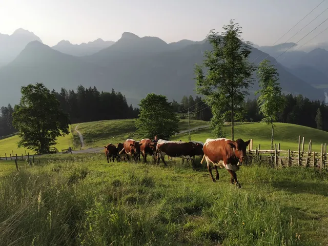 Familienbauernhof Bairauhof