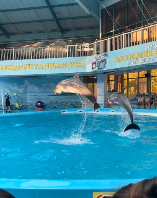 Dolphinarium Nemo