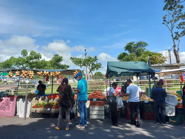 Feria Del Agricultor Santa Ana