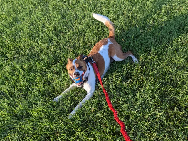 Villages of Bear Creek Park