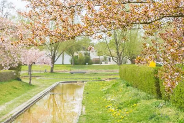 Museum De Buitenplaats Eelde