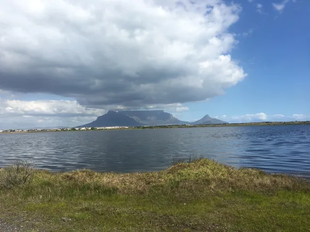 Table Bay Nature Reserve- Rietvlei Section