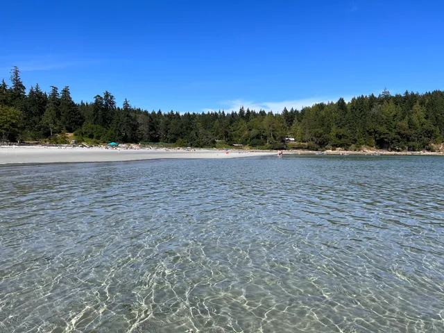 Area A (Baynes Sound)