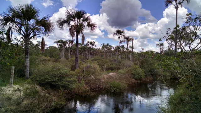 Grande Sertão Veredas National Park