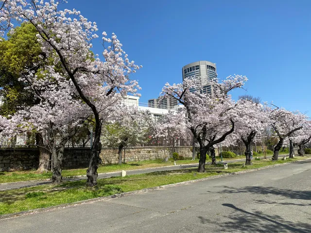 Kema Sakuranomiya Park