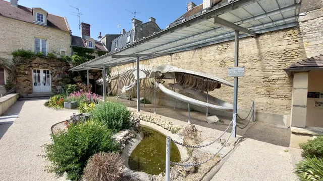 Maison de la Baleine