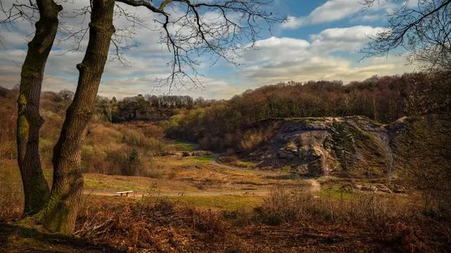 Saltwells Local Nature Reserve