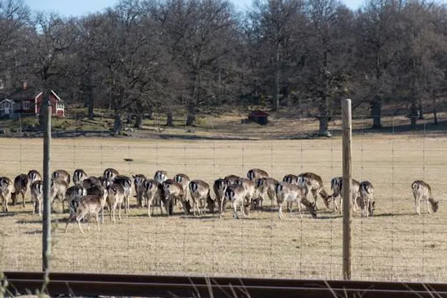 Gripsholm Deer Field Nature preserve