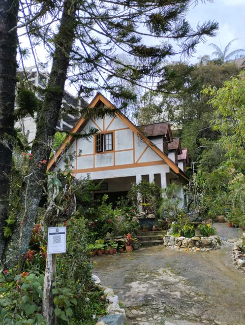 Tan's Camellia Garden