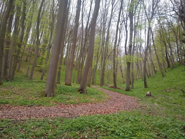 Eco Pfad Muschelkalk