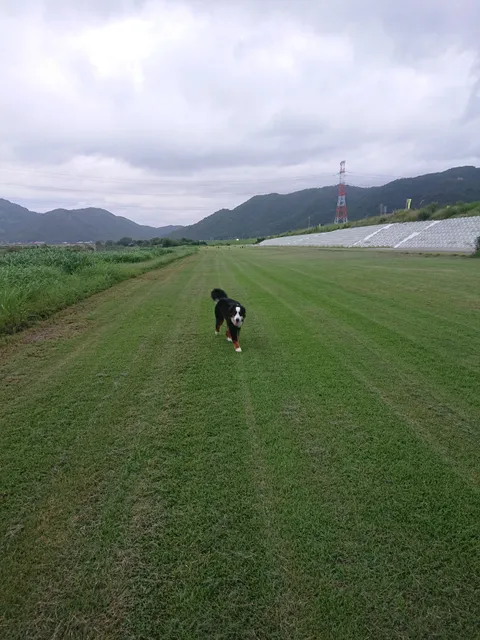 Yoshiigawafureai Park