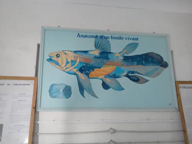 Musée Rabesandratana